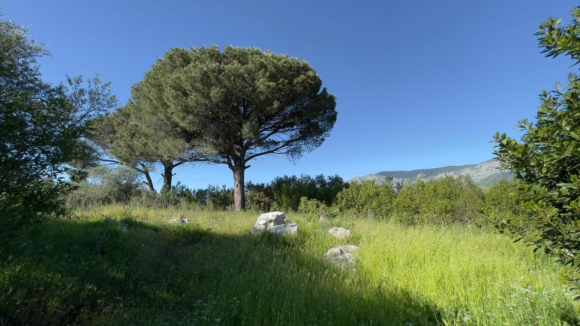 Relais Villa Giusso Vico Equense Buitenkant foto